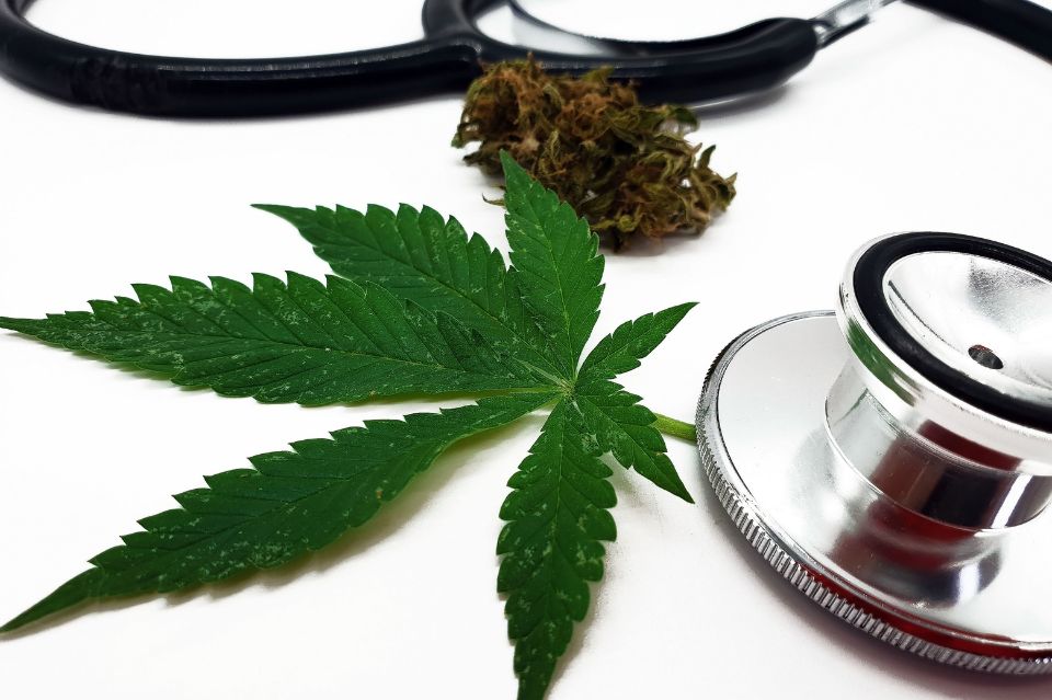 Danske patienter får billigere adgang til medicinsk cannabis