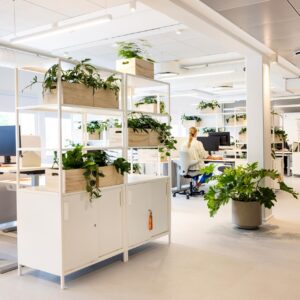 Fra rod til ro: Sådan skaber du et inspirerende kontormiljø