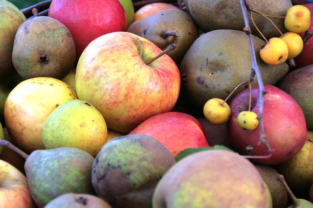 De sjældne æblesorter i Danmark: Hvor kan du finde dem?