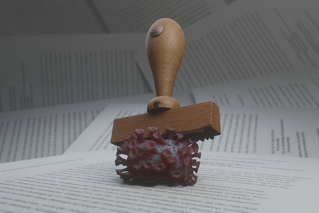 Fra paragraffer til praksis: Grundlovens betydning i hverdagen