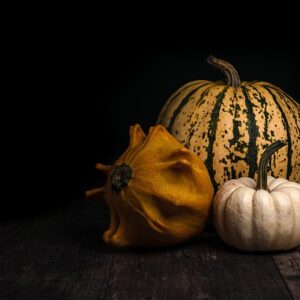 Sæsonens bedste grøntsager: Opskrifter der smager af sommer