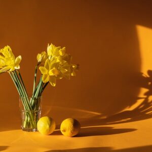 Kleine räume, große wirkung: Tipps für platzsparendes einrichten