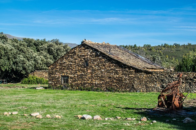 Vandreture i provence: Oplev frankrigs skjulte stier